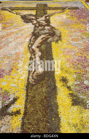 Street Art, Cristo sulla croce, fatta dai petali, terra, MOSS e riso, Mileto, Calabria, Italia meridionale, Italia, Europa Foto Stock