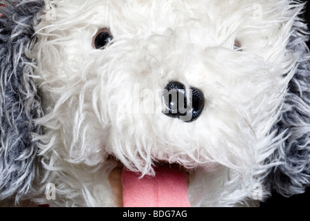Close up del giocattolo pecore testa del cane Foto Stock