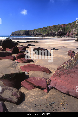 Caerfai Bay vicino a St David's rocce sulla spiaggia sabbiosa Pembrokeshire Coast National Park West Wales UK Foto Stock