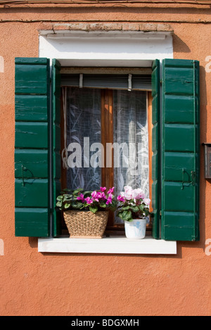 Vivacemente colorato persiane verdi sulla casa di Burano, Venezia Veneto Italia 91306-Venezia Foto Stock