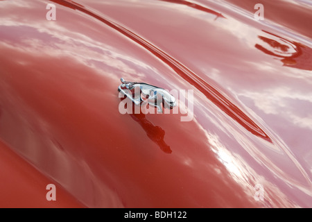 Jaguar E-Type Foto Stock