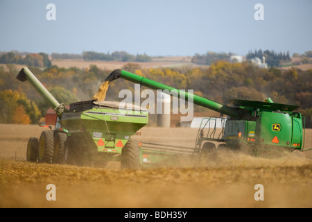 Una mietitrebbia John Deere il raccolto di un raccolto di semi di soia in autunno durante lo scarico in un carro di grano "on-the-go" / Minnesota, Stati Uniti d'America. Foto Stock