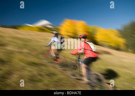 Due donne in mountain bike attraverso il giallo aspen alberi, San Juan National Forest, Colorado. (Sfocatura) Foto Stock