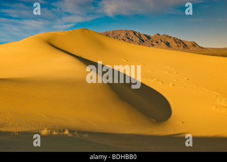 Cadice dune al tramonto, nave montagne, Mojave sentieri monumento nazionale, Deserto Mojave, CALIFORNIA, STATI UNITI D'AMERICA Foto Stock