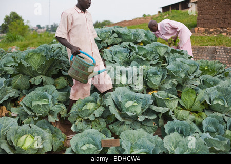 Il Rwanda nelle carceri di memorizzare migliaia di sospetti genocidaires. Foto Stock