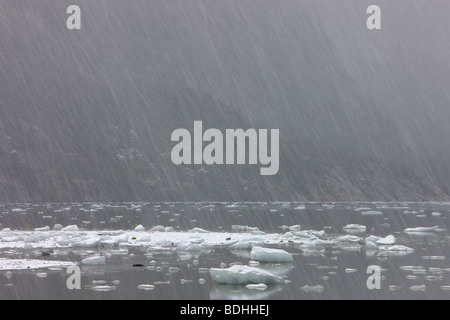 Inverno, Seno Pia, braccio est, Tierra del Fuego, Cile Foto Stock