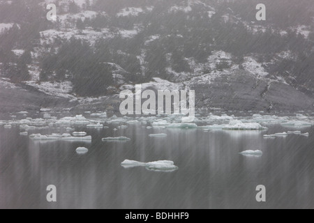 Inverno, Seno Pia, braccio est, Tierra del Fuego, Cile Foto Stock