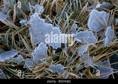 Inverno, Seno Pia, braccio est, Tierra del Fuego, Cile Foto Stock