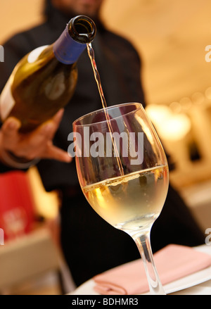 Il vino bianco che viene versato in Shimla Rosa nightclub. Foto Stock