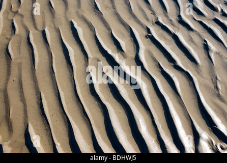 Creste a sinistra in sabbia dalla marea in uscita Foto Stock