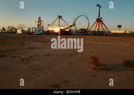 Fiera in un deserto al tramonto Foto Stock