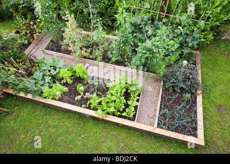 Un grafico di vegetali in un giardino a Ambleside, Cumbria, Regno Unito. Foto Stock