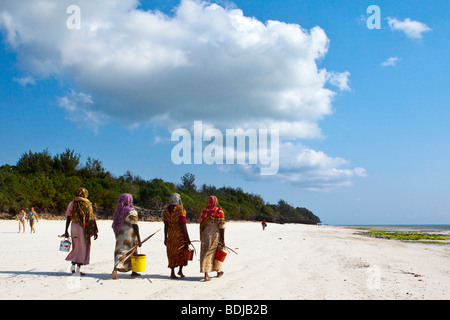 Le donne portano il loro pesce pescato in secchi, Zanzibar, Tanzania Africa Foto Stock