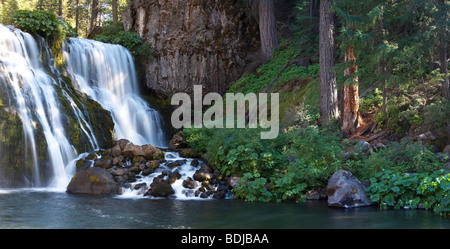 Centro cade cadere nel fiume McCloud, Shasta-Trinity National Forest, McCloud, Siskiyou County, California, Stati Uniti d'America Foto Stock