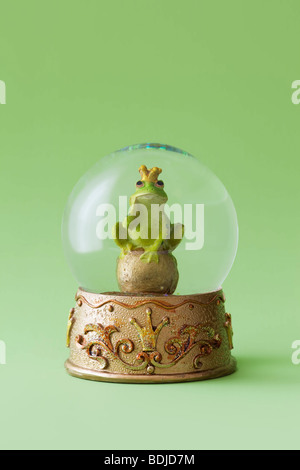 Snow Globe con Frog Prince Foto Stock