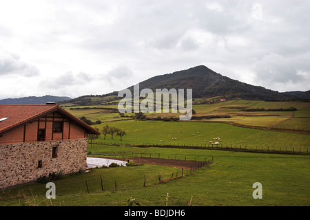 Area Rurale, Paesi Baschi Foto Stock