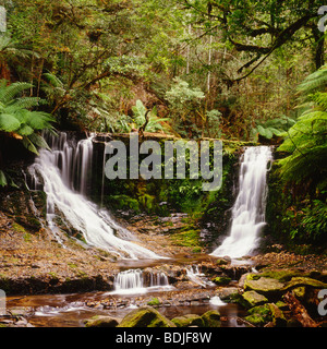 Cascate Horseshoe, Parco Nazionale Mt Field, Australia Foto Stock