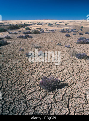 Massa incrinato, Dry Lake Bed, siccità, Australia Foto Stock