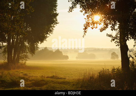 Alba sul campo in autunno, Odenwald, Hesse, Germania Foto Stock
