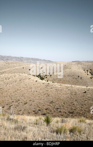 Cuesta del burro montagne, Presidio County, Texas, Stati Uniti d'America Foto Stock