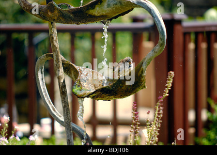 Un uccello la balneazione su un ornato fontana di acqua Foto Stock