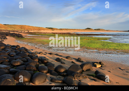 "Embleton Bay' massi di basalto sul bordo della spiaggia. Northumberland, Regno Unito Foto Stock