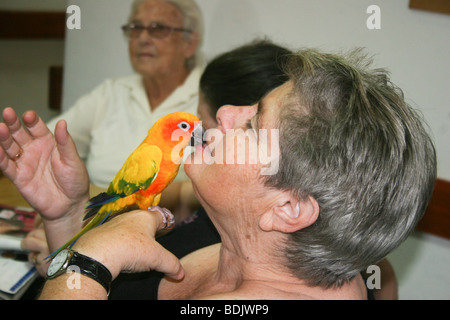 Israele, Rehovot, vecchiaia centro per la cura giornaliera del titolare di pensione o di rendita di prendersi cura di un animale domestico parrot come parte della loro attività quotidiana Foto Stock