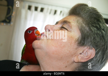 Israele, Rehovot, vecchiaia centro per la cura giornaliera del titolare di pensione o di rendita di prendersi cura di un animale domestico parrot come parte della loro attività quotidiana Foto Stock