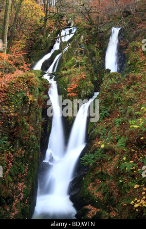 'Stockghyll forza' Cascata, vicino a Ambleside, Lake District inglese, Cumbria. Foto Stock