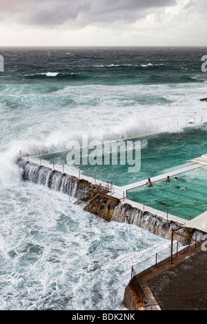 Nuotatori che guarda al mare da una piscina sul fronte mare sulla spiaggia di Bondi, Sydney, Australia Foto Stock