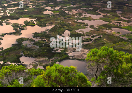 Rano Kau cratere del vulcano, l'isola di pasqua, Cile Foto Stock