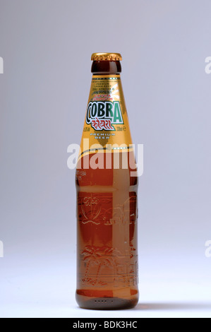 Bottiglia di birra Cobra. Foto Stock