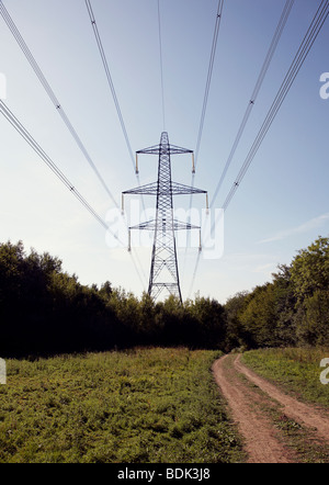 L'energia elettrica di alimentazione passando attraverso farm accanto alla pista di fattoria Foto Stock