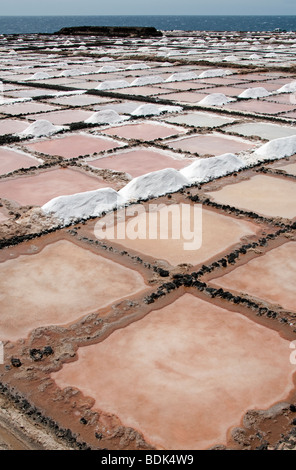 Salina, Los Cocoteros, Lanzarote, Isole Canarie Foto Stock