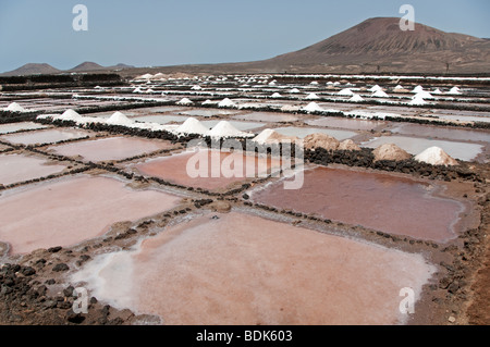 Salina, Los Cocoteros, Lanzarote, Isole Canarie Foto Stock