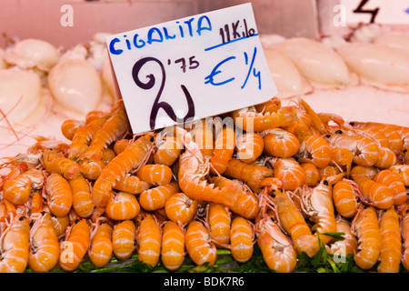 In Spagna , città di Valencia , Plaza del Mercado , Mercato Centrale , costruito 1926 , pesce in stallo , display di scampi o gamberi e calamari Foto Stock