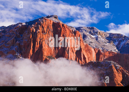 Neve fresca sui Kolob Canyon, il Parco Nazionale di Zion, Utah Foto Stock
