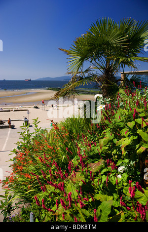 English Bay e terza spiaggia, Stanley Park, Vancouver, British Columbia, Canada. Foto Stock