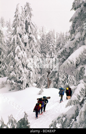 Gruppo di persone con le racchette da neve in 'Coast Mountains' in Mount Seymour Provincial Park North Vancouver British Columbia Canada Foto Stock