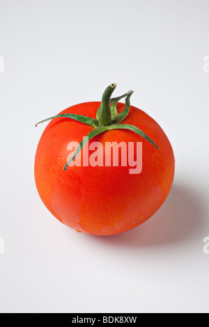 Tomato on white background Foto Stock