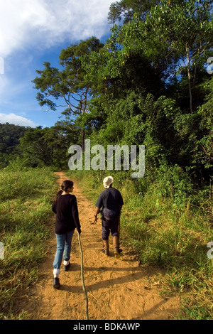 Due persone a piedi attraverso una strada sterrata che conduce ad un frammento di una foresta pluviale tropicale, Caratinga, Minas Gerais, Brasile Foto Stock