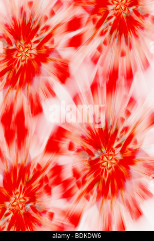 Abstract di sfondo rosso radiante motivo floreale Foto Stock