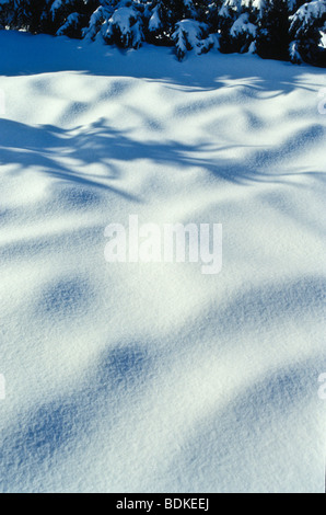 neve inverno Foto Stock