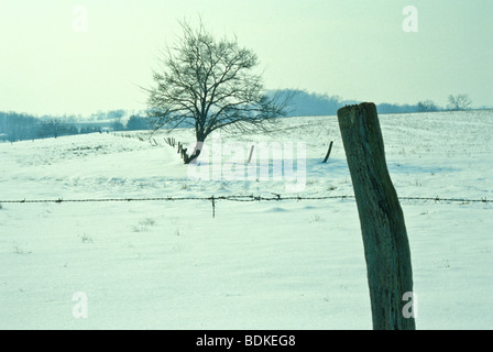 Paesaggio invernale Foto Stock