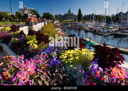 Il legislativo o gli edifici del Parlamento europeo si trova sul porto interno, Victoria, Isola di Vancouver, British Columbia, Canada. Foto Stock