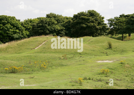 Cinque Poggi, Dunstable Downs, Bedfordshire. Il neolitico o età del Bronzo recente round carriole. Foto Stock