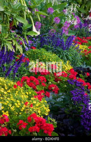 Giardini di fiori lungo il Porto Interno, il centro cittadino di Victoria, l'isola di Vancouver, British Columbia, Canada Foto Stock