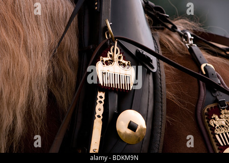 Süddeutsches Kaltblut, Sud progetto tedesco a cavallo con cablaggio in pelle, Rosstag, Bartholomä, Germania meridionale Foto Stock