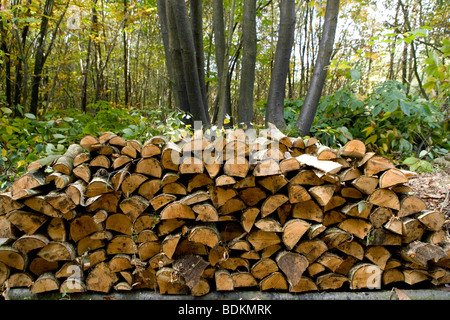 Tracey e Mike Pepler è di 8 acri di bosco misto. Sweet Chestnut coppice stack log. La segale, Est Susex. Foto Stock