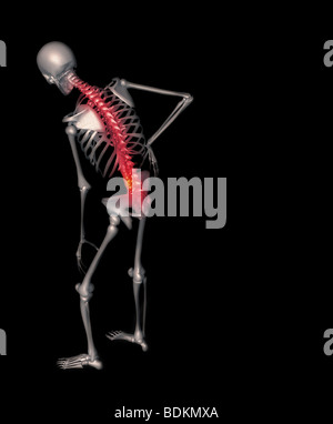 Anatomia umana illustrazione che mostra Foto Stock